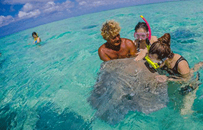 医美行业发展呈现新趋势 美呗市场调研深入全解析